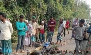 ভোলায় সড়ক দুর্ঘটনায় সহোদরের মৃত্যু