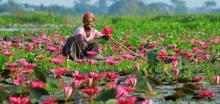 বরিশাল জেলা পরিষদের পূর্বতন চেয়ারম্যানবৃন্দ