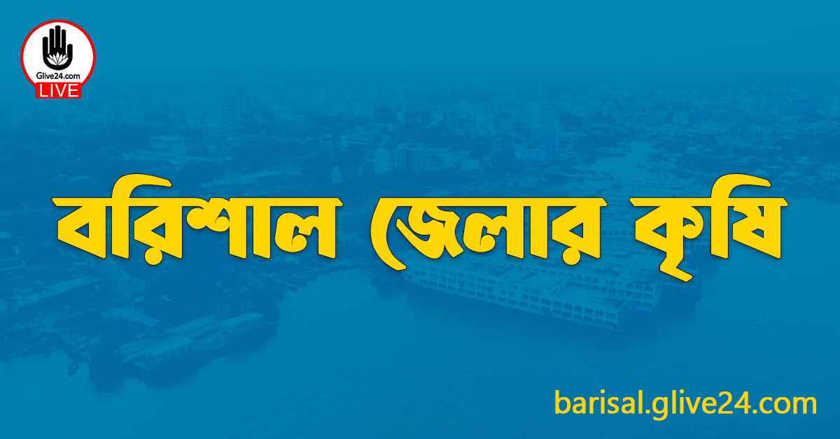 বরিশাল জেলার কৃষি